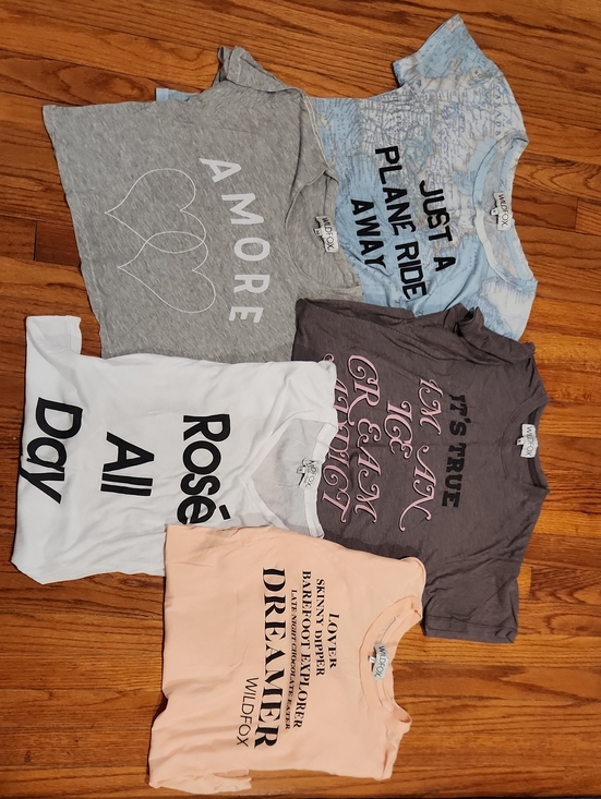 Wildfox Tops - Wildfox Mixed Graphic Tee Bundle - Gray, Blue, White, Peach, Charcoal